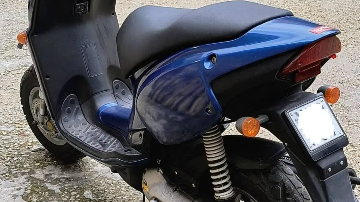 Aprilia Rally 50 LC (1996 - 01)  (4)