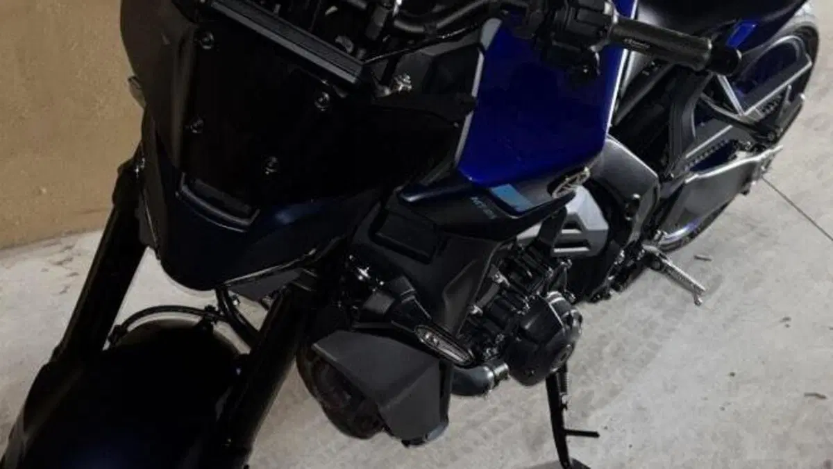 Yamaha MT-09 Y-AMT (2024 - 26)  (2)