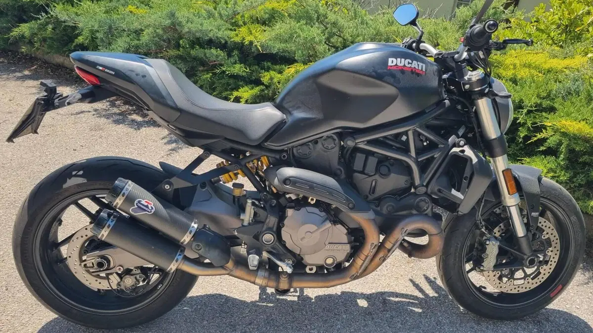 Ducati Monster 821 (2018 - 20)  (5)