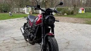Benelli Leoncino 500 ABS (2017 - 20)  (3)