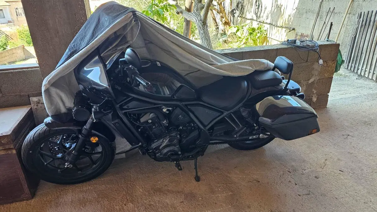 Honda CMX 1100 Rebel T DCT (2023 - 24) 