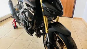 Honda CB 1000 Hornet SP (2025 - 26)  (7)
