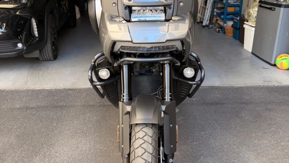 Harley-Davidson Pan America 1250 Special (2020 - 25)  (3)