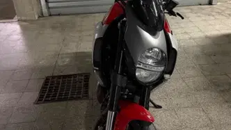 Ducati Diavel 1200 (2010 - 13) usata