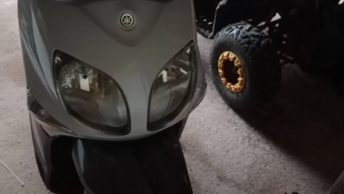 Yamaha Xenter 150 (2011 - 14)  (2)
