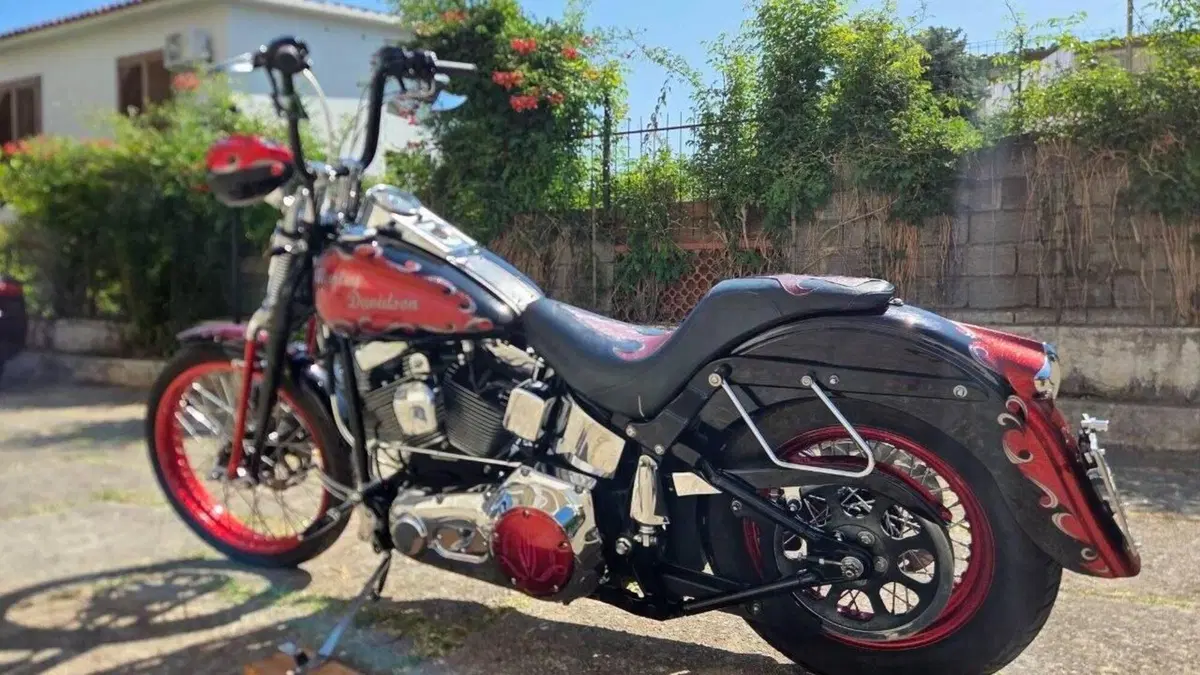 Harley-Davidson 1450 Springer (2002 - 04) - FXSTSI  (3)