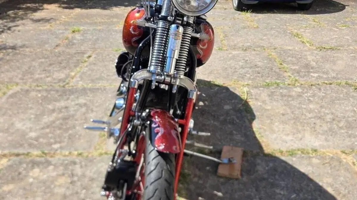 Harley-Davidson 1450 Springer (2002 - 04) - FXSTSI  (4)