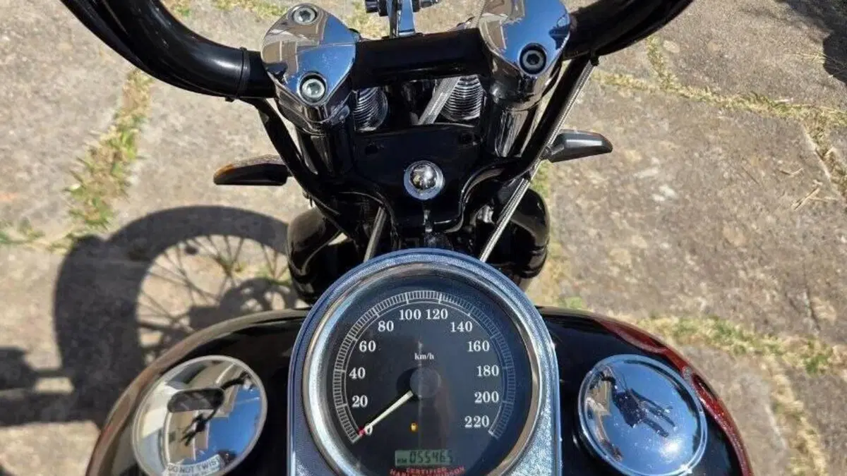Harley-Davidson 1450 Springer (2002 - 04) - FXSTSI  (5)
