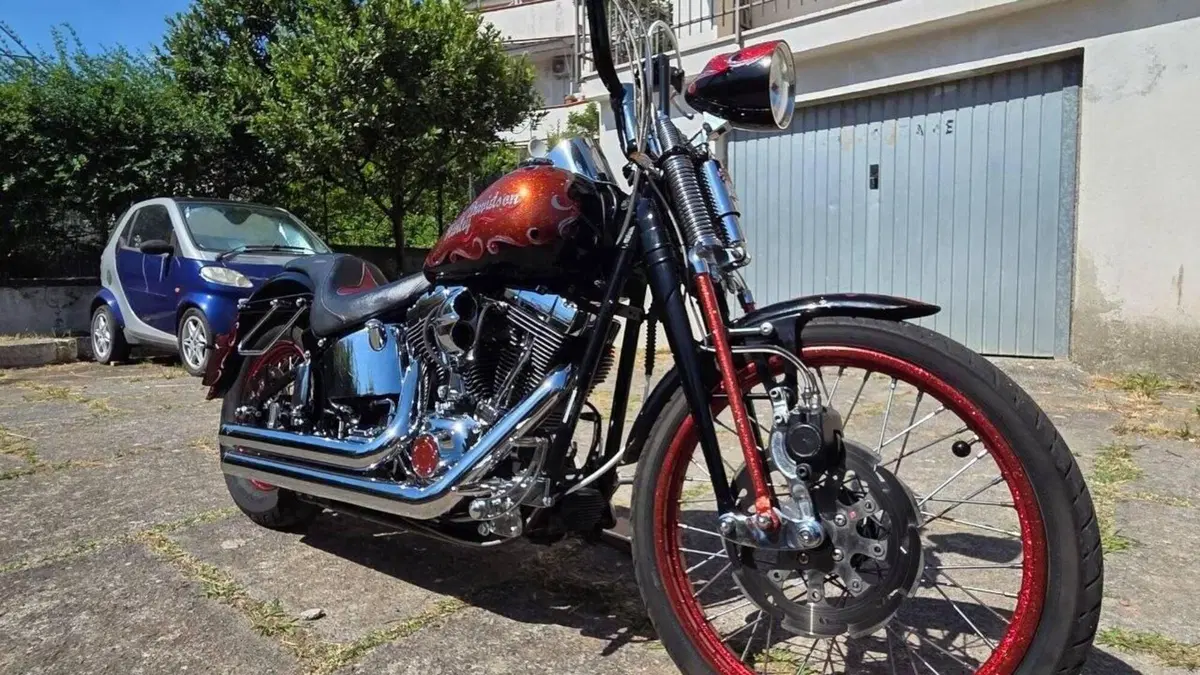 Harley-Davidson 1450 Springer (2002 - 04) - FXSTSI  (6)