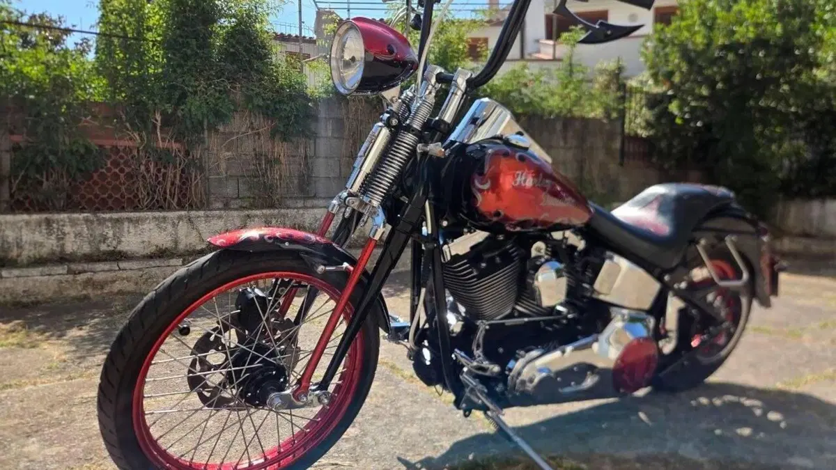 Harley-Davidson 1450 Springer (2002 - 04) - FXSTSI  (8)