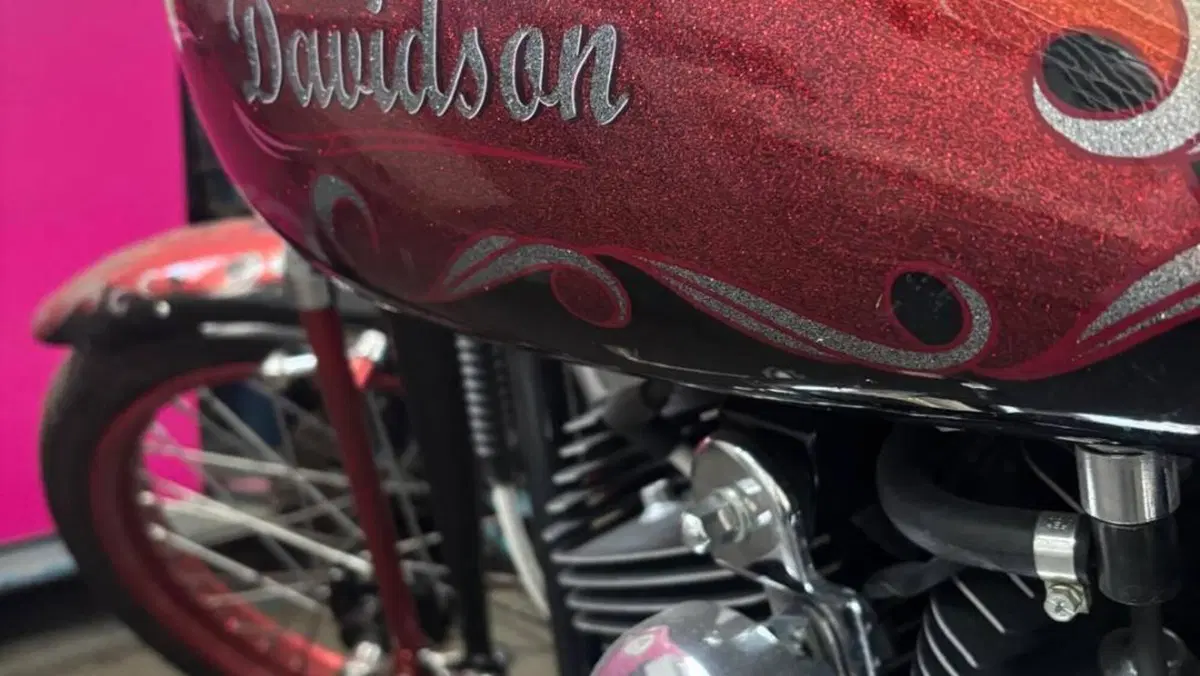 Harley-Davidson 1450 Springer (2002 - 04) - FXSTSI  (9)