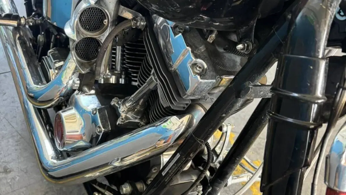 Harley-Davidson 1450 Springer (2002 - 04) - FXSTSI  (11)
