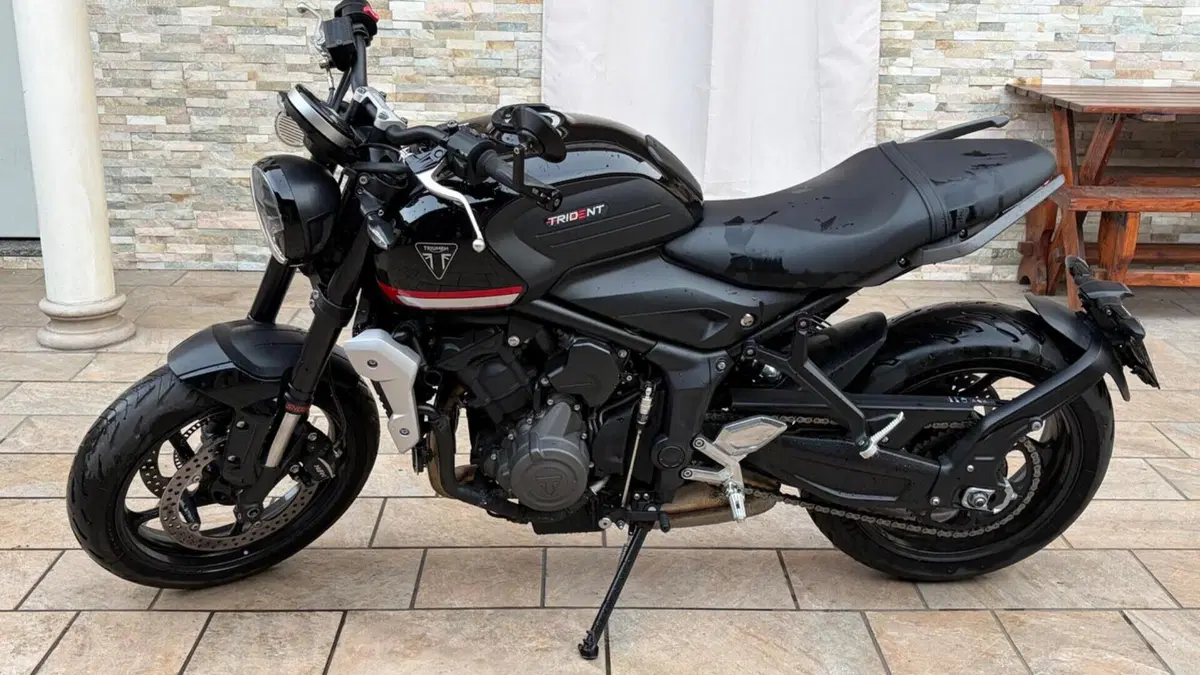 Triumph Trident 660 (2021 - 24)  (2)