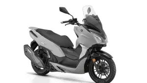 QJ Motor MTX 300 (2025 - 26)  (2)