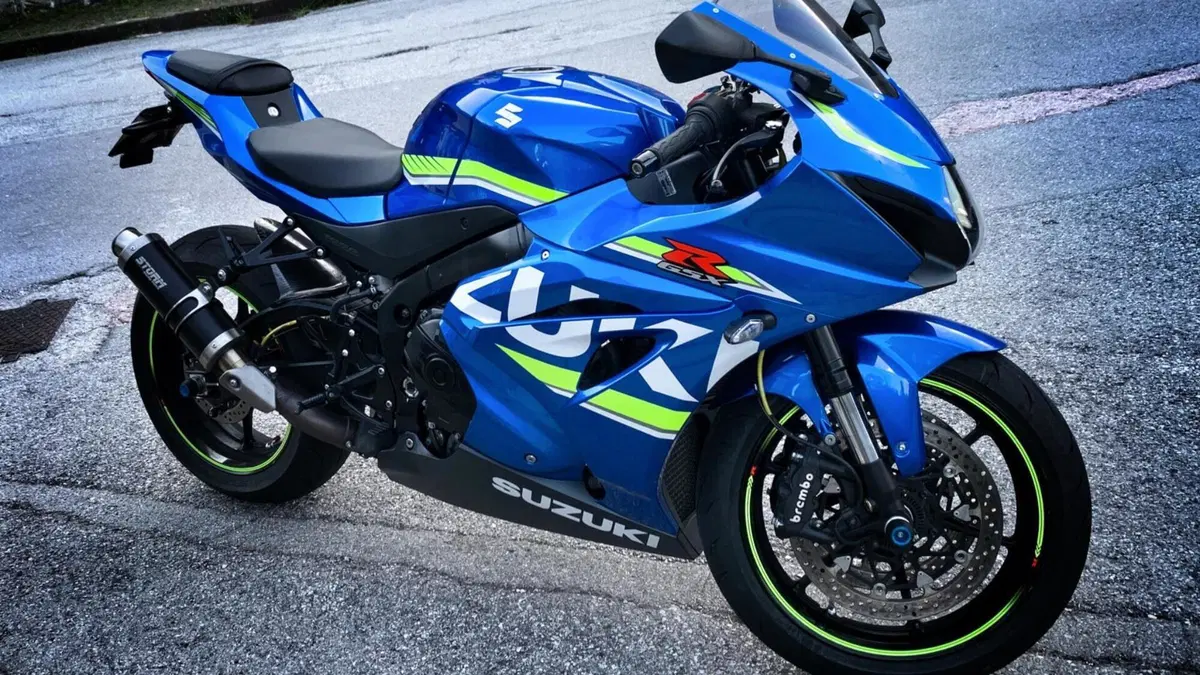 Suzuki GSX-R1000 (2017 - 18)  (5)