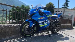 Suzuki GSX-R1000 (2017 - 18)  (6)