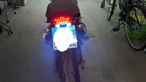 Ducati Monster 620 I.E. Dark (2002)  (4)