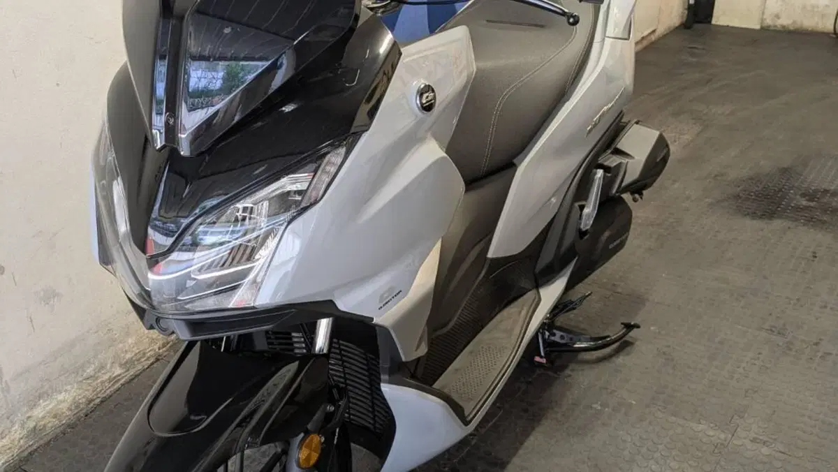 QJ Motor MTX 300 (2025 - 26)  (3)