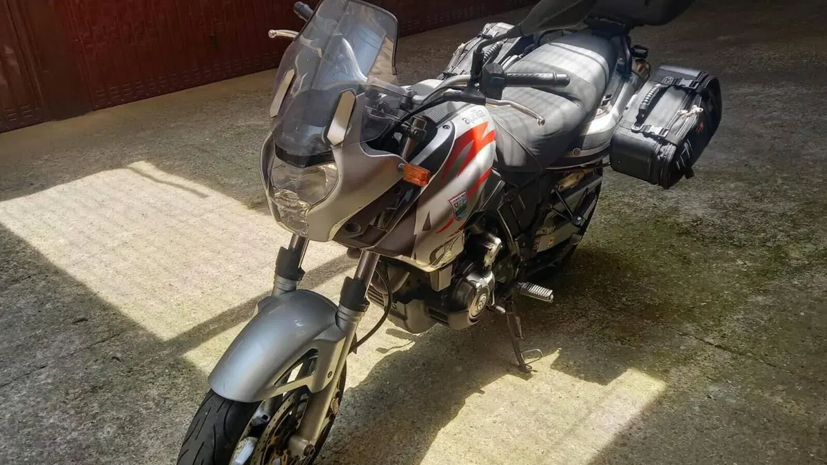 Aprilia Pegaso 650 Strada (2005 - 11)  (2)