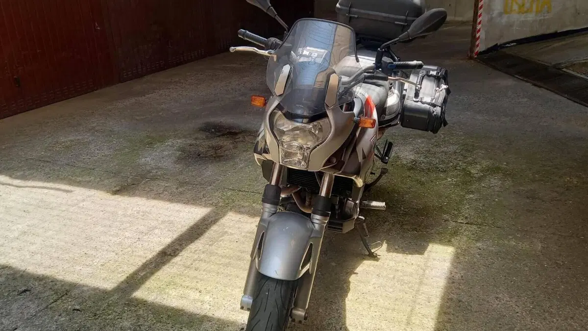 Aprilia Pegaso 650 Strada (2005 - 11)  (3)