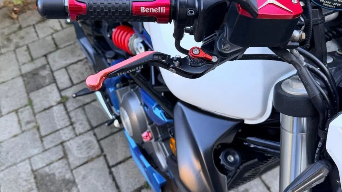 Benelli BN 302 (2017 - 19)  (11)
