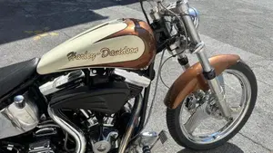 Harley-Davidson 1340 Custom (1989 - 98)  (2)
