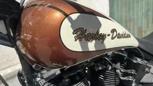 Harley-Davidson 1340 Custom (1989 - 98)  (8)