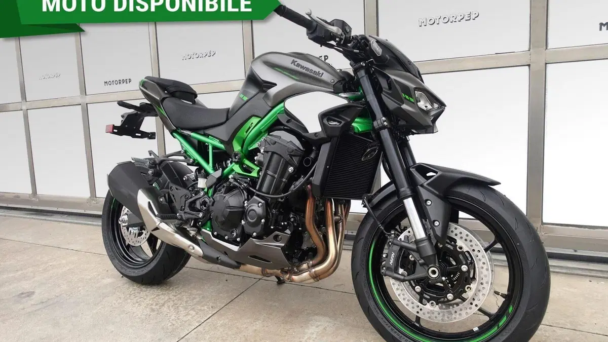 Kawasaki Z 900 (2025 - 26) 