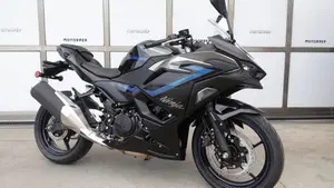 Kawasaki Ninja 500 SE (2024 - 26)  (3)