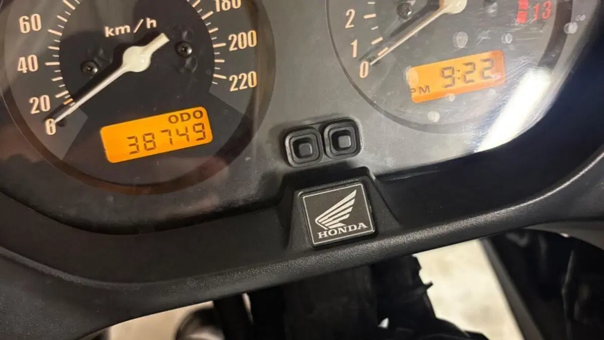 Honda CBF 600 (2004 - 06)  (4)