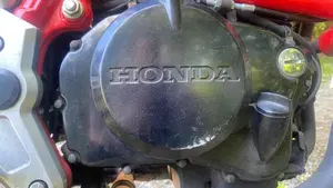 Honda   (14)