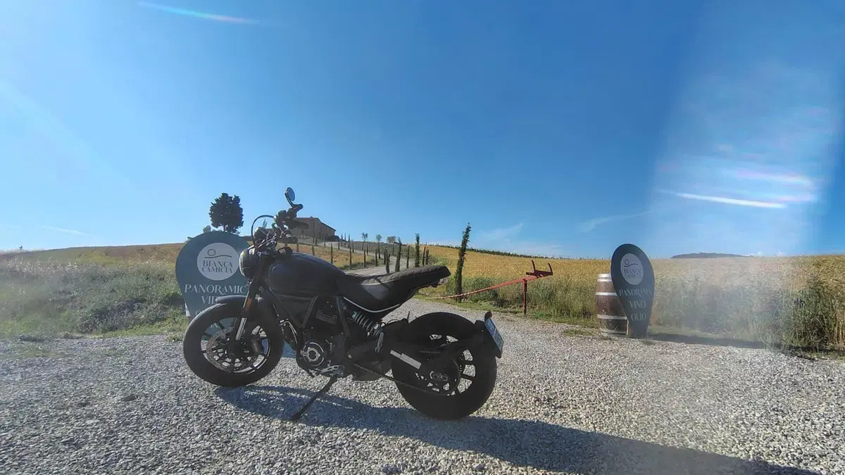 Ducati Scrambler 800 Icon Dark (2021 - 22)  (4)