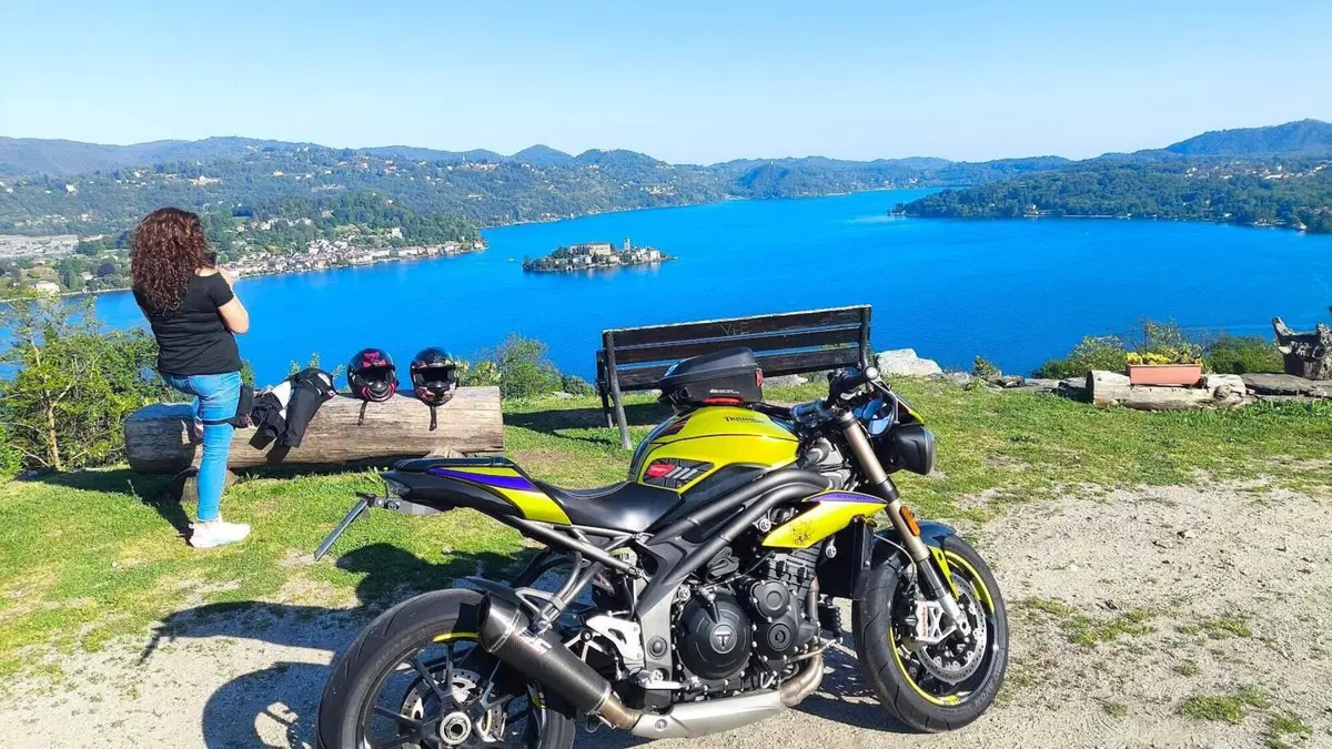 Triumph Speed Triple 1050 S ABS (2016 - 17)  (3)