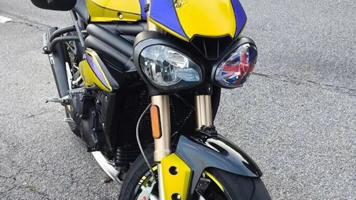 Triumph Speed Triple 1050 S ABS (2016 - 17)  (8)