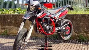 Betamotor RR 50 Motard Track (2013 - 18)  (5)