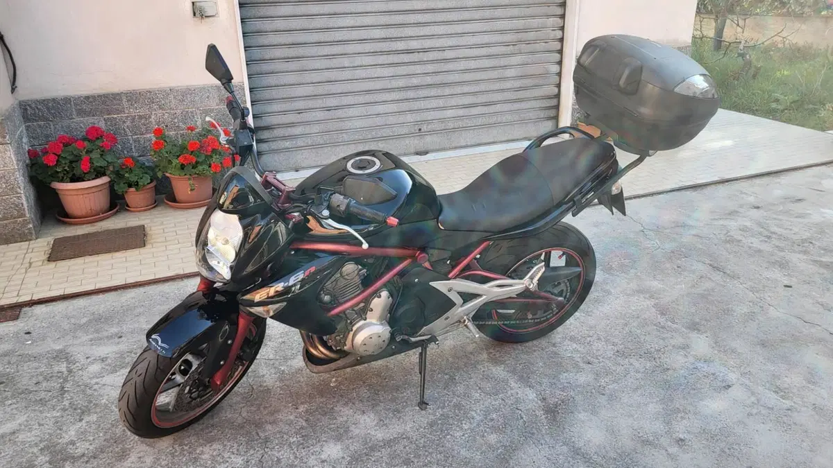 Kawasaki ER-6N (2006 - 09) 