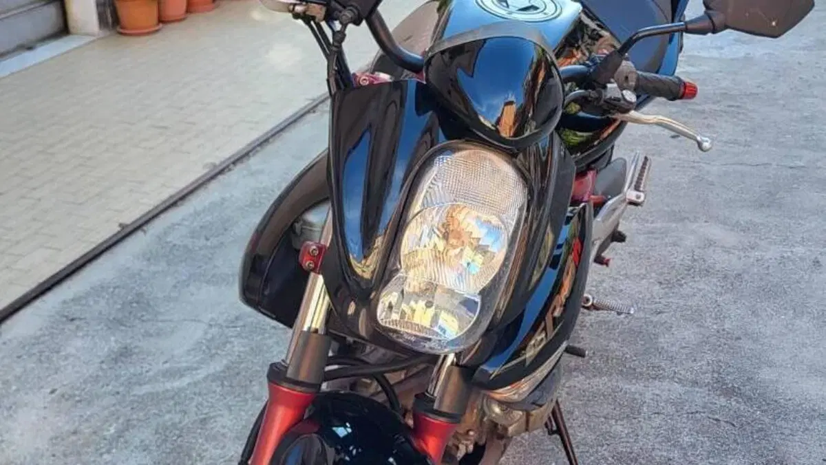 Kawasaki ER-6N (2006 - 09)  (2)