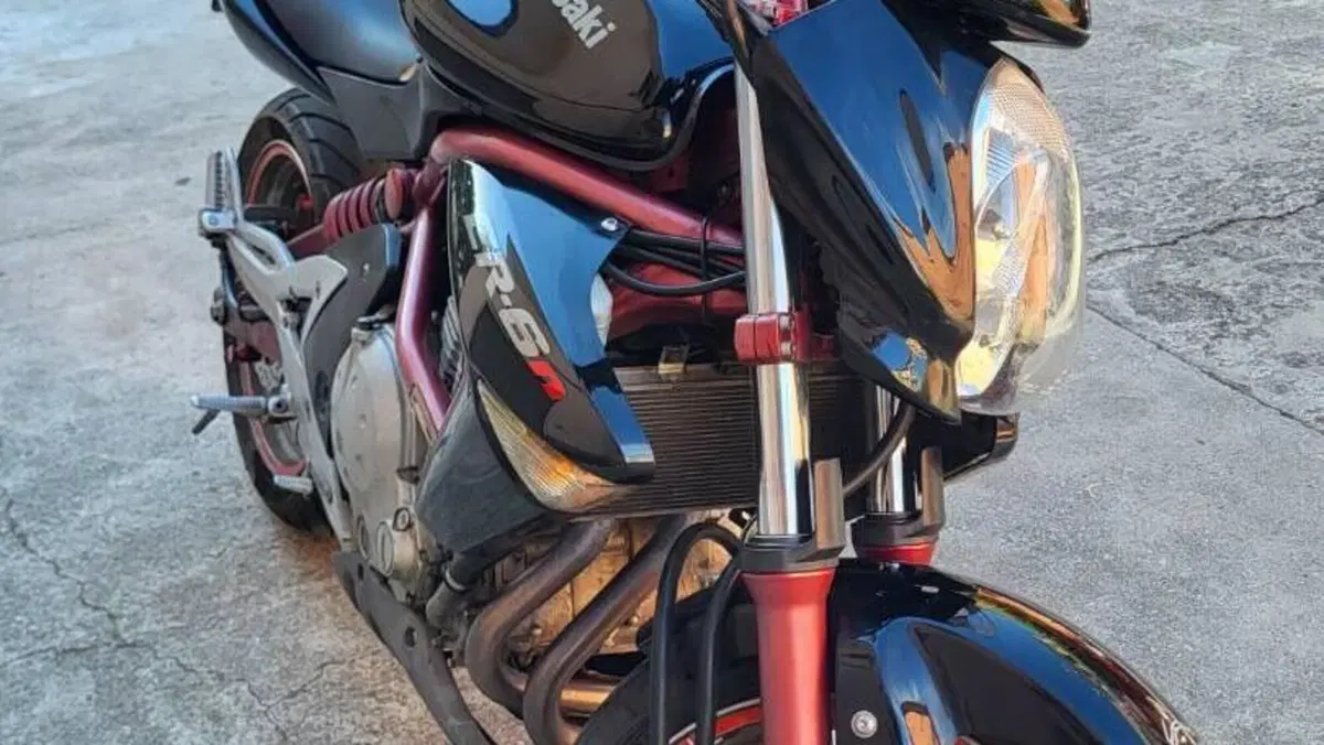 Kawasaki ER-6N (2006 - 09)  (3)