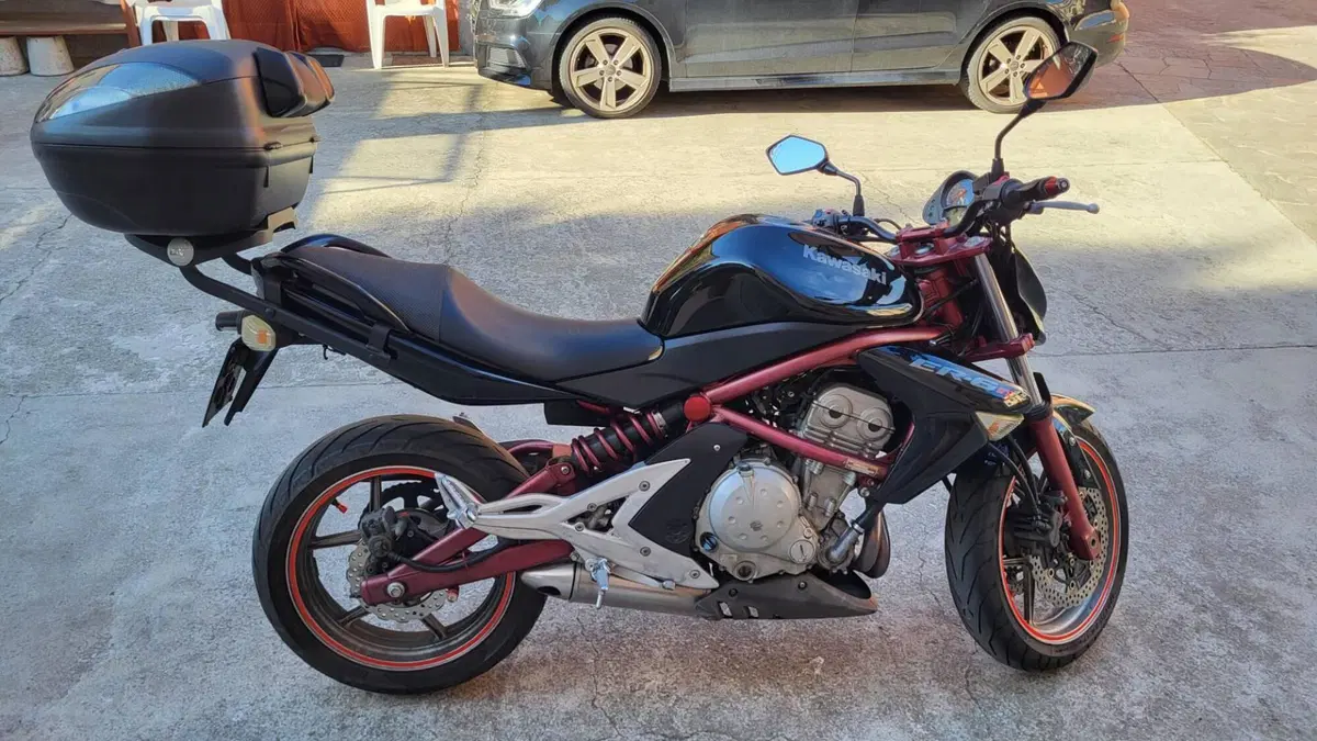 Kawasaki ER-6N (2006 - 09)  (4)