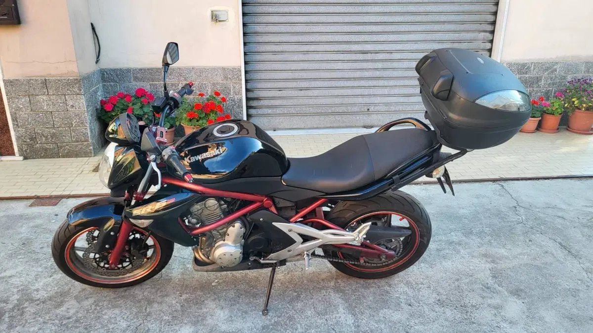 Kawasaki ER-6N (2006 - 09)  (8)
