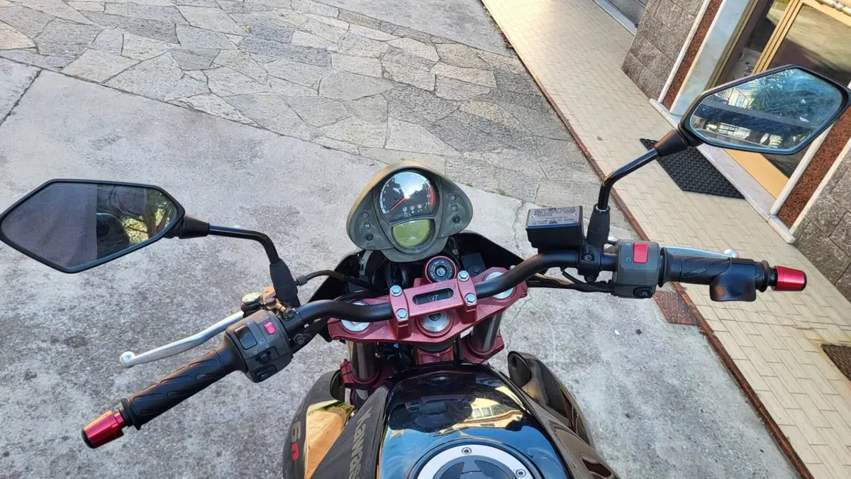 Kawasaki ER-6N (2006 - 09)  (5)