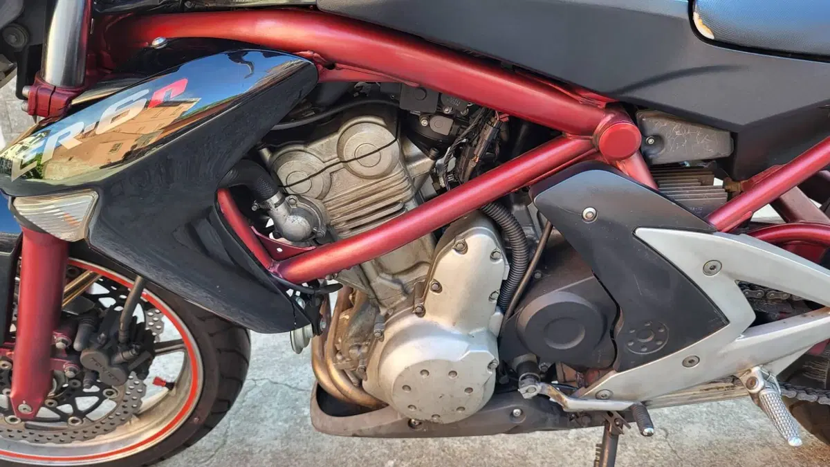 Kawasaki ER-6N (2006 - 09)  (9)