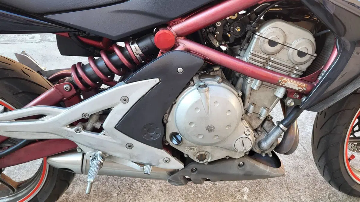 Kawasaki ER-6N (2006 - 09)  (10)