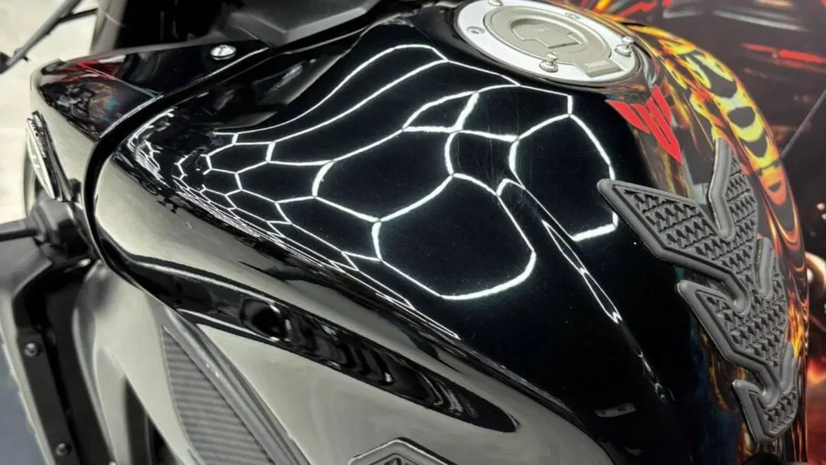 Yamaha MT-09 (2024 - 26)  (7)