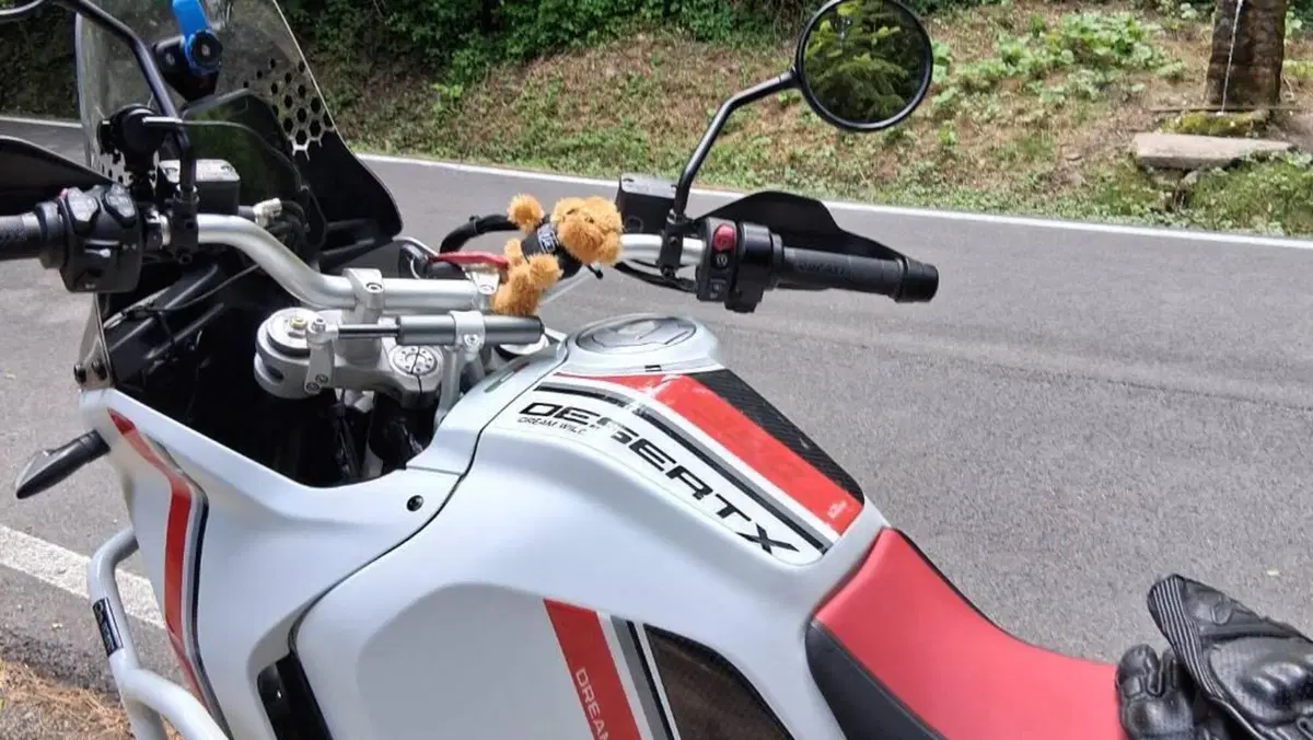 Ducati DesertX (2022 - 25)  (5)