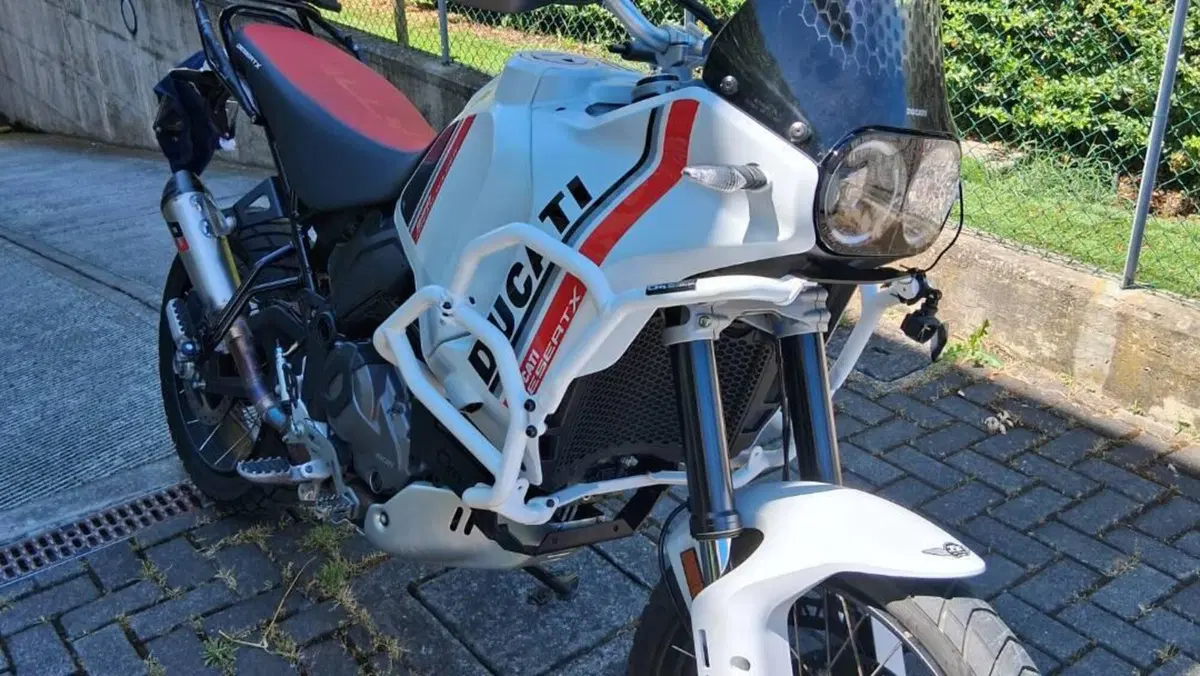Ducati DesertX (2022 - 25)  (12)