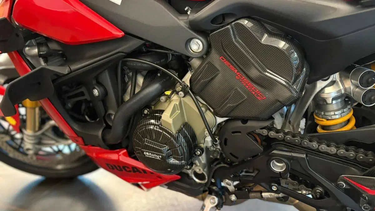 Ducati Streetfighter V4 S (2023 - 24)  (6)