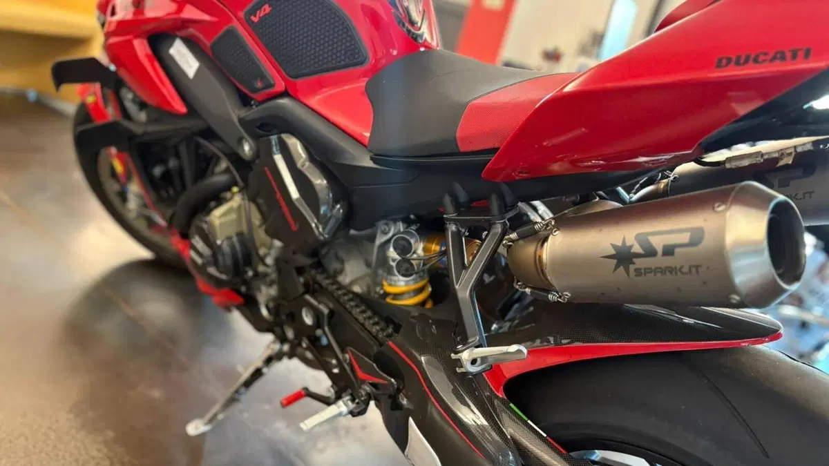 Ducati Streetfighter V4 S (2023 - 24)  (8)