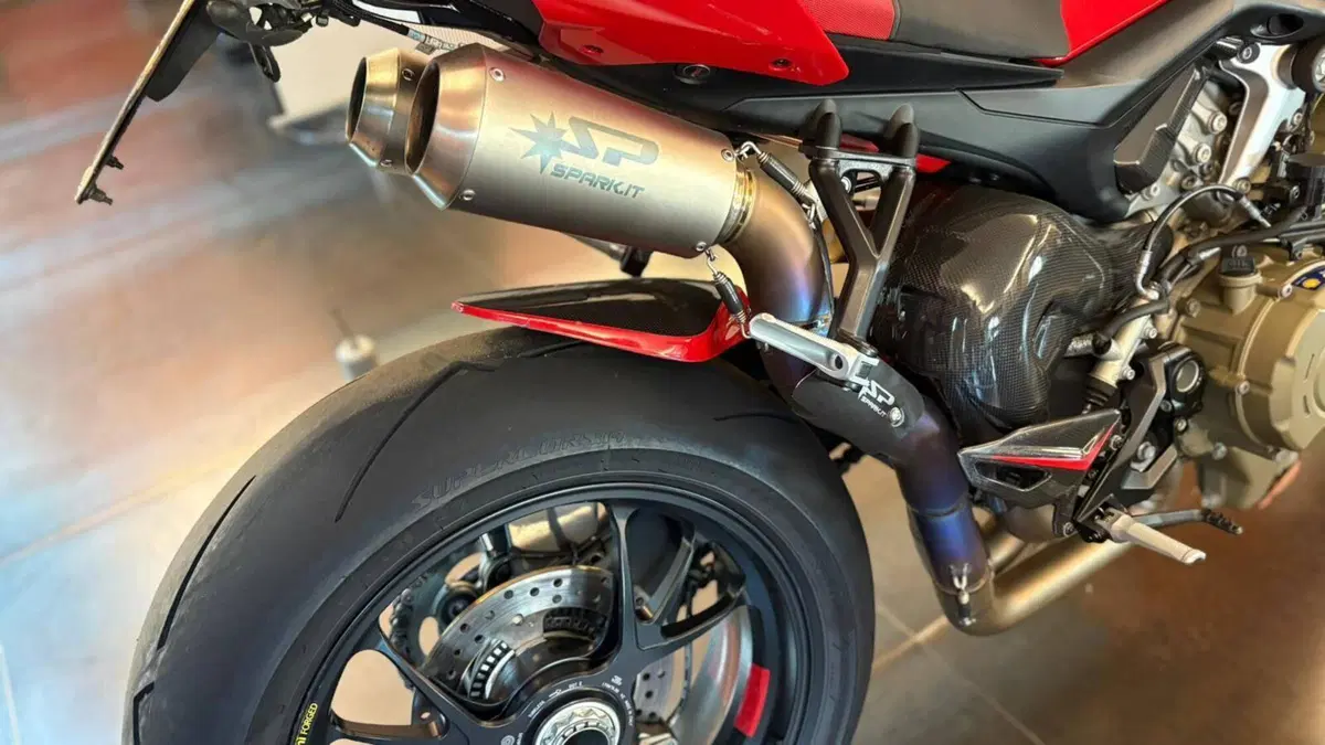 Ducati Streetfighter V4 S (2023 - 24)  (12)