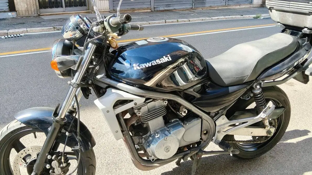 Kawasaki ER-5 500 (2001 - 06)  (2)
